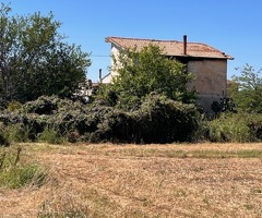 Capaccio Paestum loc.Feudo Podere con terreno - 10